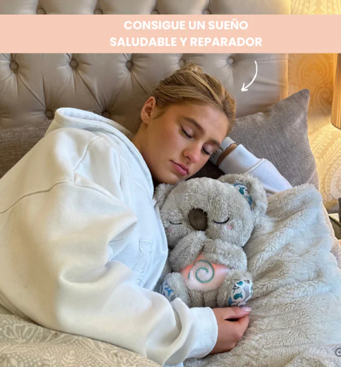 KOALA-EL COMPAÑERO MOCTURNO ANTIESTRES